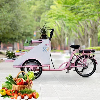 Велосипед для торговли продуктами Питания и фруктами, Электрический Грузовой велосипед для Овощей, Новая модель Грузового Трехколесного велосипеда с корзиной в продаже